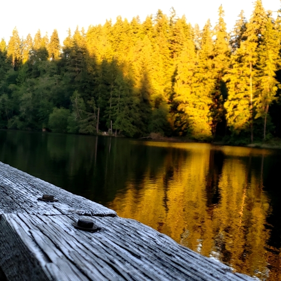 🌼$5/$15  Items - Picture 10 of 11